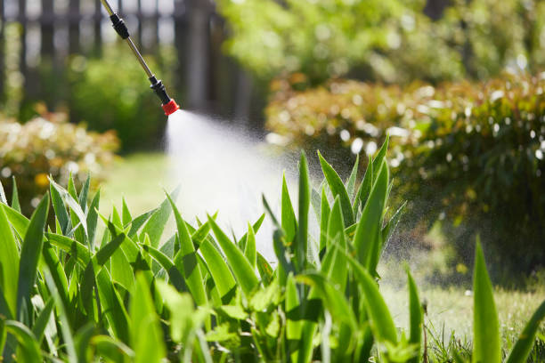 24/7 Emergency Mosquito Control experts in Ken Caryl, CO