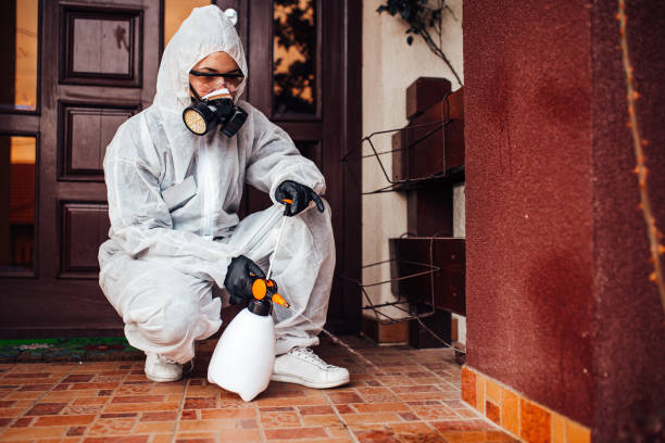 Reliable Mosquito Control contractor in Ken Caryl, CO by Show Me Pest Control
