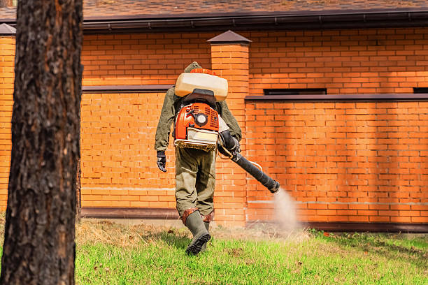 Top rated local Mosquito Control specialists in Ken Caryl, CO